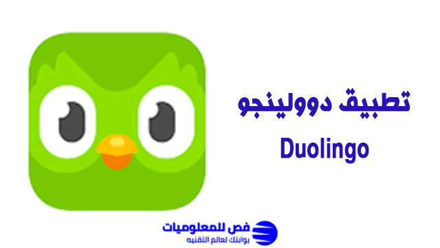 تطبيق دوولينجو Duolingo