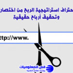 استراتيجية الربح من اختصار الروابط