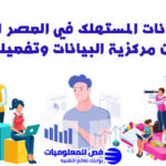 بيانات المستهلك