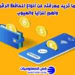 أنواع المحافظ الرقمية