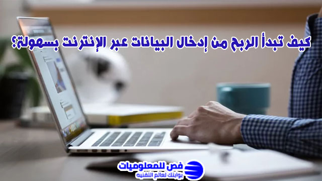 الربح من إدخال البيانات