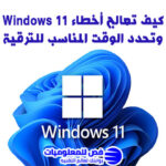Windows 11