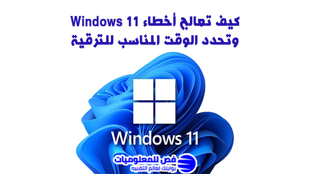 Windows 11