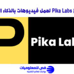 موقع Pika Labs